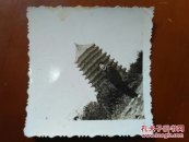 早期六和塔留影