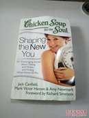 Chicken Soup for the Soul: Shaping the New You