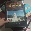 《醴陵市志》1995年出版