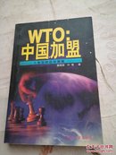 WTO:中国加盟:入世后的应对策略（W7）