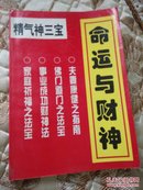 （精气神三宝）命运与财神【家庭祈福之法宝，事业成功财神法，佛门道门之法宝，夫妻康健之指南】