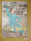 子龙枪 青雁拳