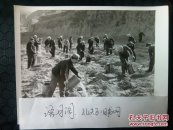 70年代新华社新闻照片稿～山西省介休县人民挑水抗灾誓夺丰收