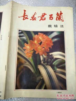 长春君子兰栽培法