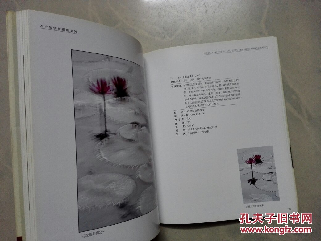 石广智创意摄影实例 （作者签名 ）