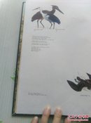 AUSTRALIAN   BIRDS