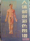 人体解剖图谱，彩色铜版纸