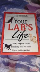 【英文原版书】Your Lab's Life 关于狗的
