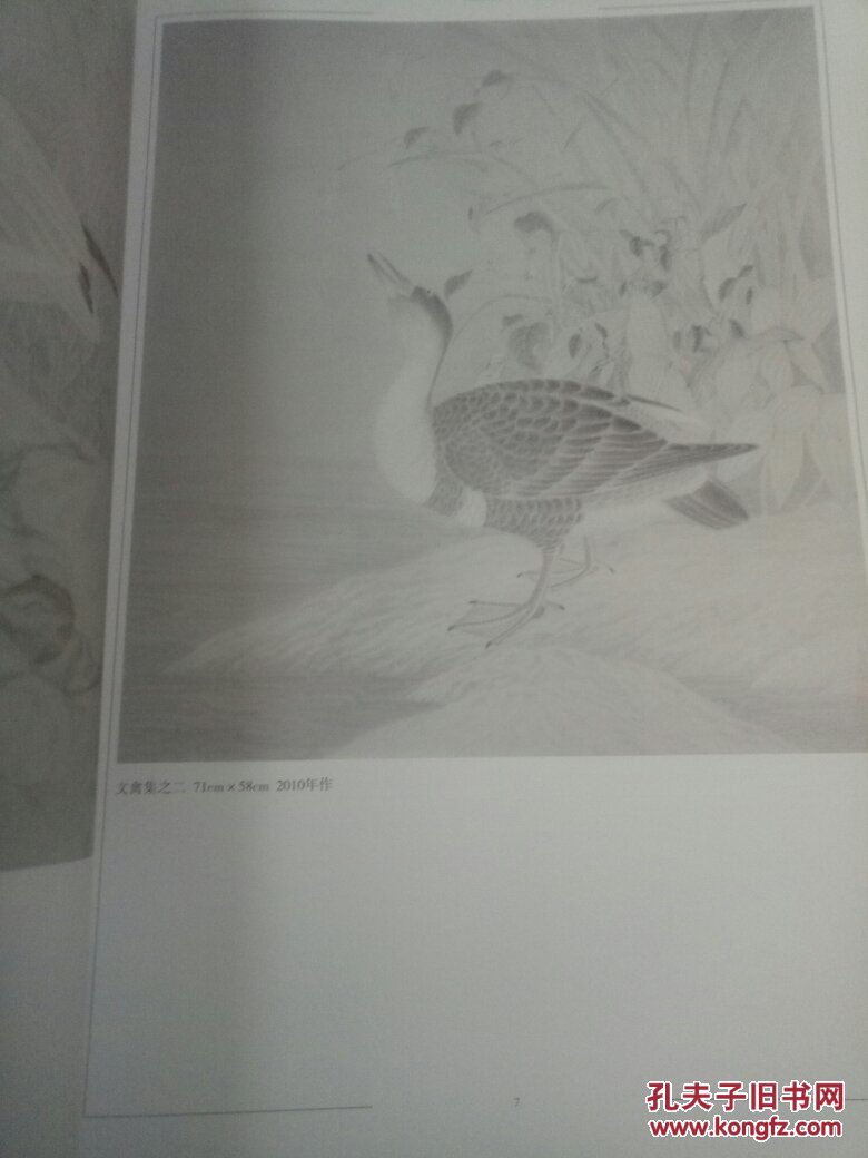 画镜杨立奇工笔花鸟画探微