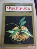 中国兰花精品～投资与栽培