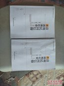 漳州民间信仰与闽南社会（上下）