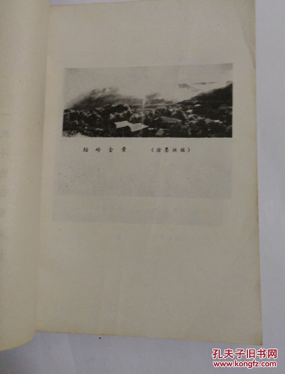 《庐山导游》DWzct