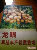 龙眼早结丰产优质栽培