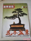 花木盆景盆景赏石1984年 4月号B版 总240期