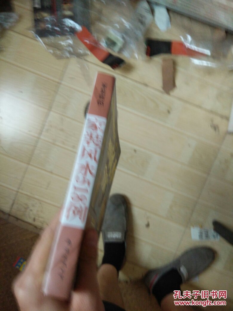 家装廊05：家装风水518例