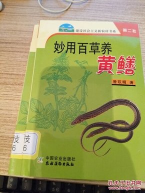 妙用百草养黄鳝