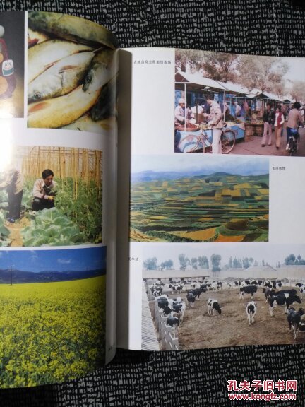 奋进中的西宁:1949-1989年国民经济和社会发展伟大成就［1989一版一印 印数2500］