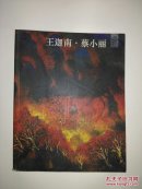 王迦南 蔡小丽 画集 2013 杏园画家