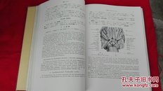 解剖学 V 神经、感觉器 改订第五版【精装本英日对照，每页都附有图片，1939年印刷】 吐凤堂书店