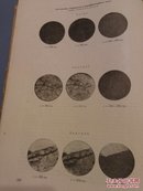 俄文书 1957 （书名可能但不确定是:矿岩与矿物的现代矿物学研究法)    G12