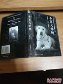导盲犬娇娜