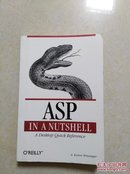 外413号英文原版书 ASP in a Nutshell: A Desktop Quick Reference 1999年