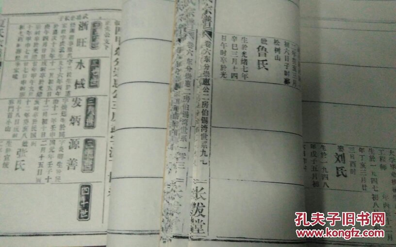 夏氏宗谱 卷六上下