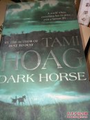 英文原版 Dark Horse