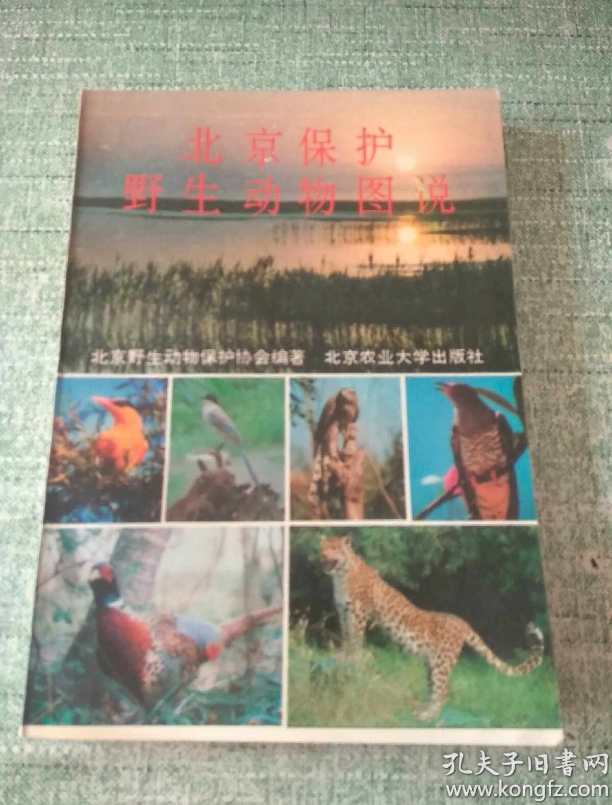 北京保護(hù)野生動(dòng)物圖說(shuō)（每種動(dòng)物均有插圖）