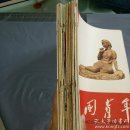 中国青年1961-1962共18本合售