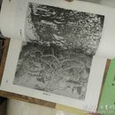 中国书画函授大学国画教材:写意山水画技法十写意花鸟画基本技法十水墨写意人物画技法十国画美学十中国工笔重彩人物画技法十中国画花卉写生十中国画论文选+水墨山水技法十中国画山水写生十中国画人物速写共十本