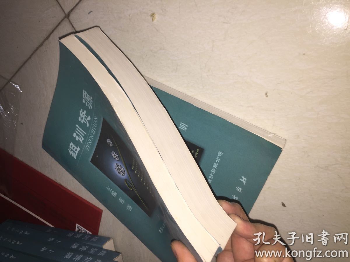 寿险生产力提升系列之：组训资源（上下册）  产生一流业绩的宝典！ 稀有书！内页新！