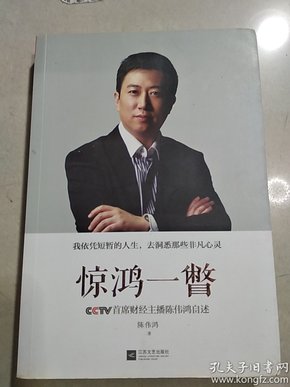 惊鸿一瞥：CCTV首席财经主播陈伟鸿自述