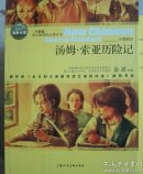 汤姆·索亚历险记
