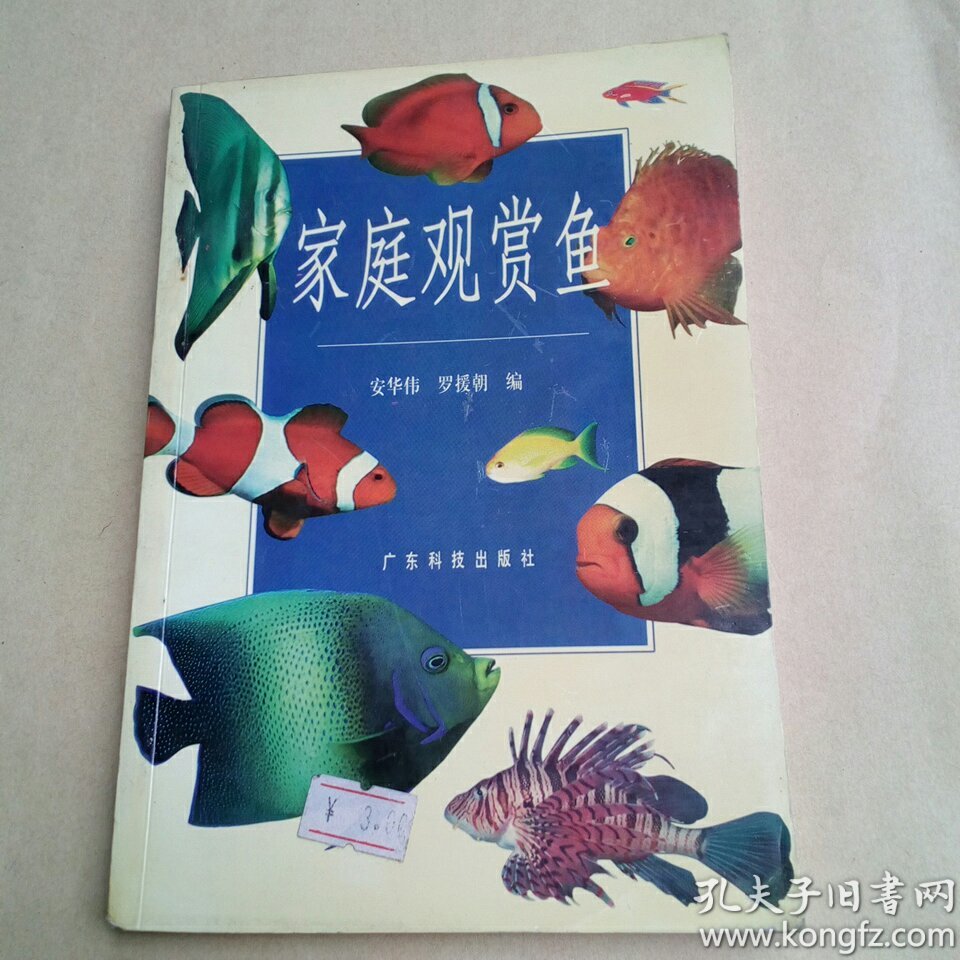家庭观赏鱼