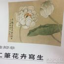 中国美术学院中国画系名家教学示范作品精选.工笔花卉写生