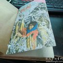 文明村1988年1-6期合订本 哈尔滨出版期刊，多插图，稀见期刊