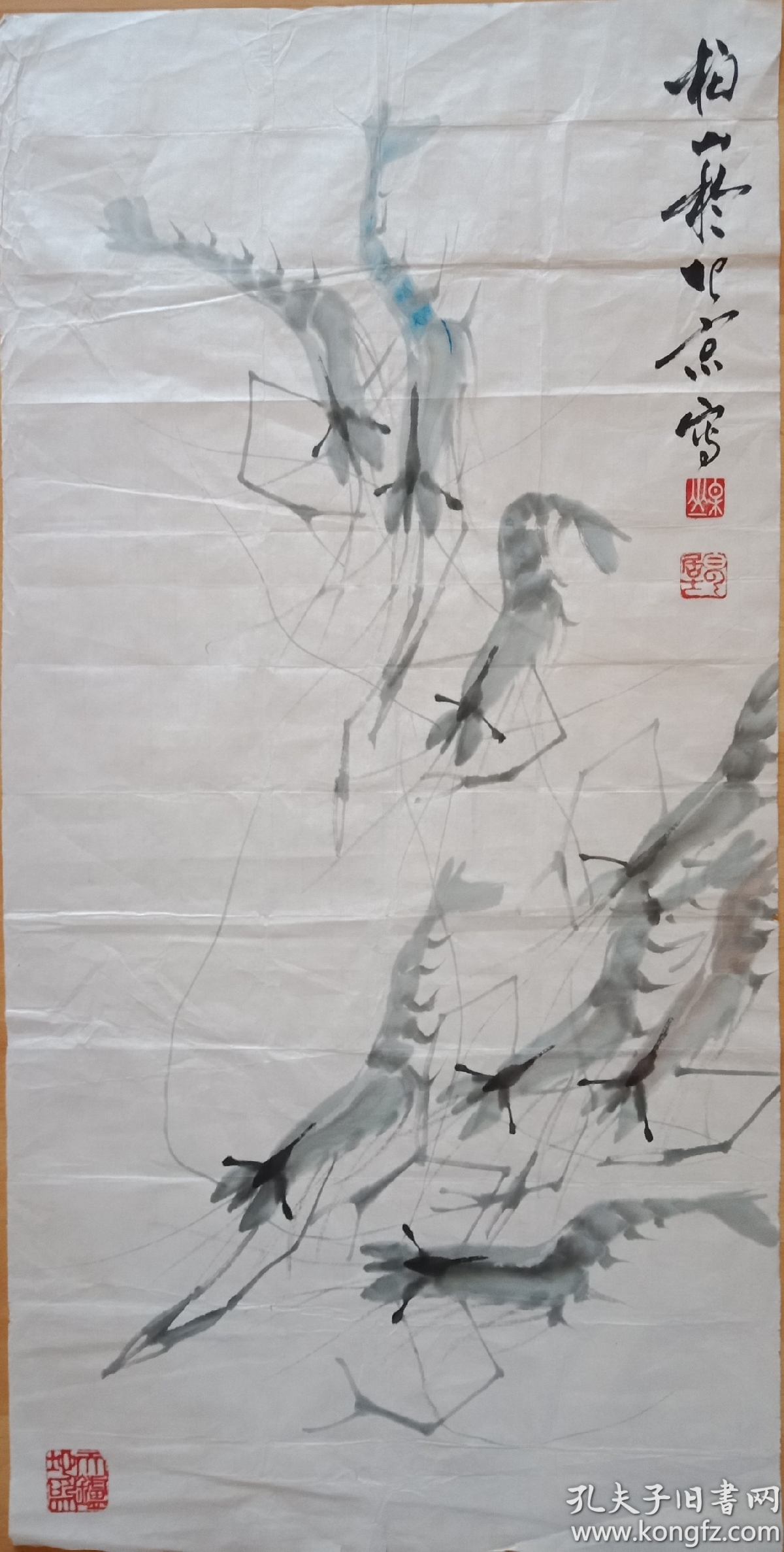 李柏山  蝦  96x48