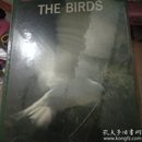 THE BIRDS