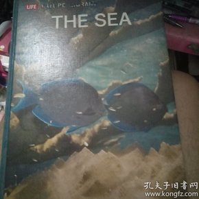 THE SEA