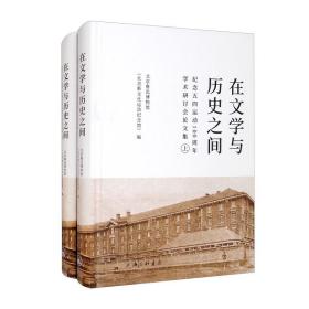 在文学与历史之间：纪念五四运动100周年学术研讨会论文集