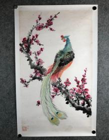 苏伯群精品国画花鸟画 3.6平尺小写意保真