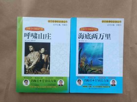 语文新课标必读丛书--海底两万里，呼啸山庄（名师1+1导读方案）