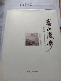 嵩山漫步