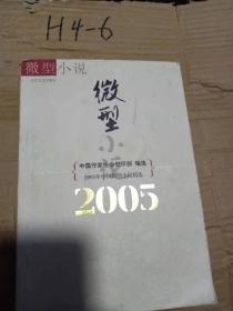 2005年中国微型小说精选