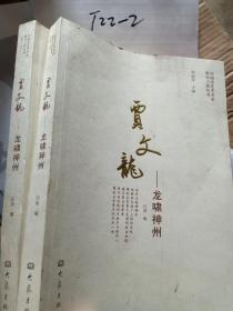 贾文龙：龙啸神州