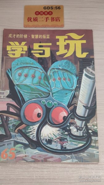 成才的阶梯·智慧的摇篮：学与玩 1989年第5期