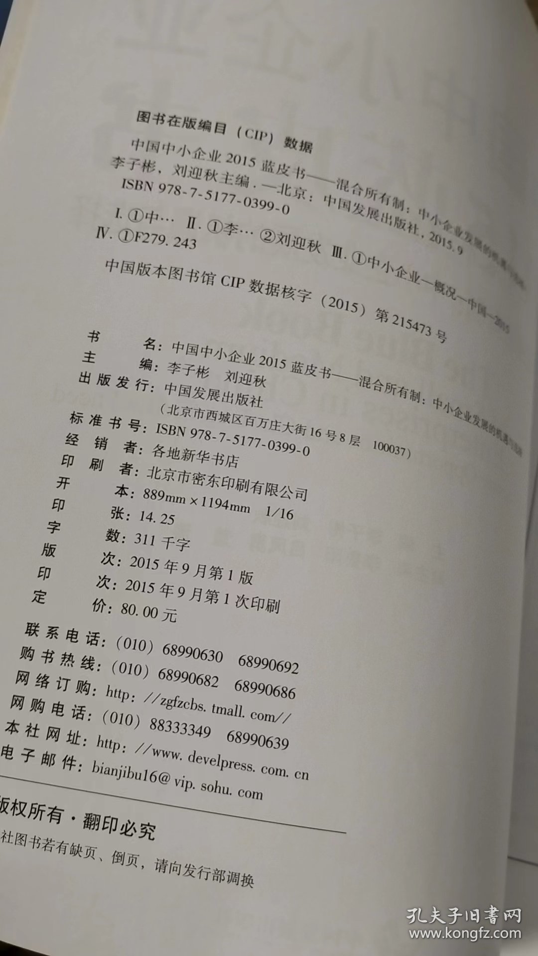 中国中小企业2015蓝皮书 混合所有制：中小企业发展的机遇与选择
