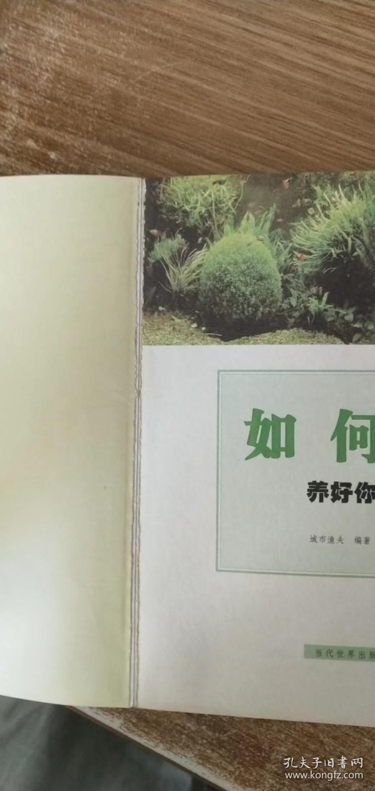 如何养好你的鱼