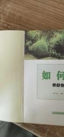 如何养好你的鱼